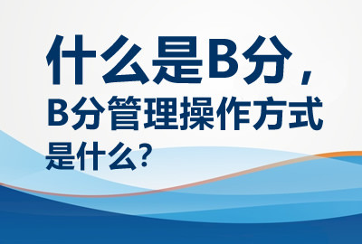 什么是B分， B分管理操作方式 是什么？