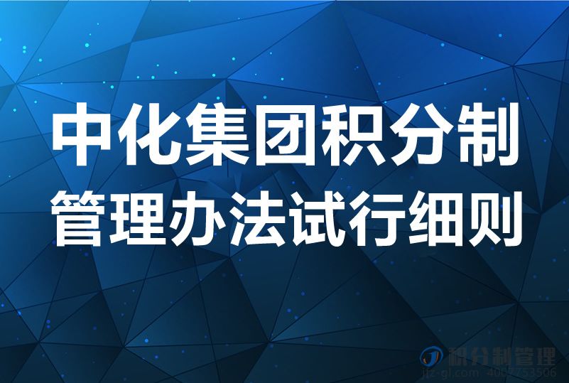中化集团积分制管理办法试行细则